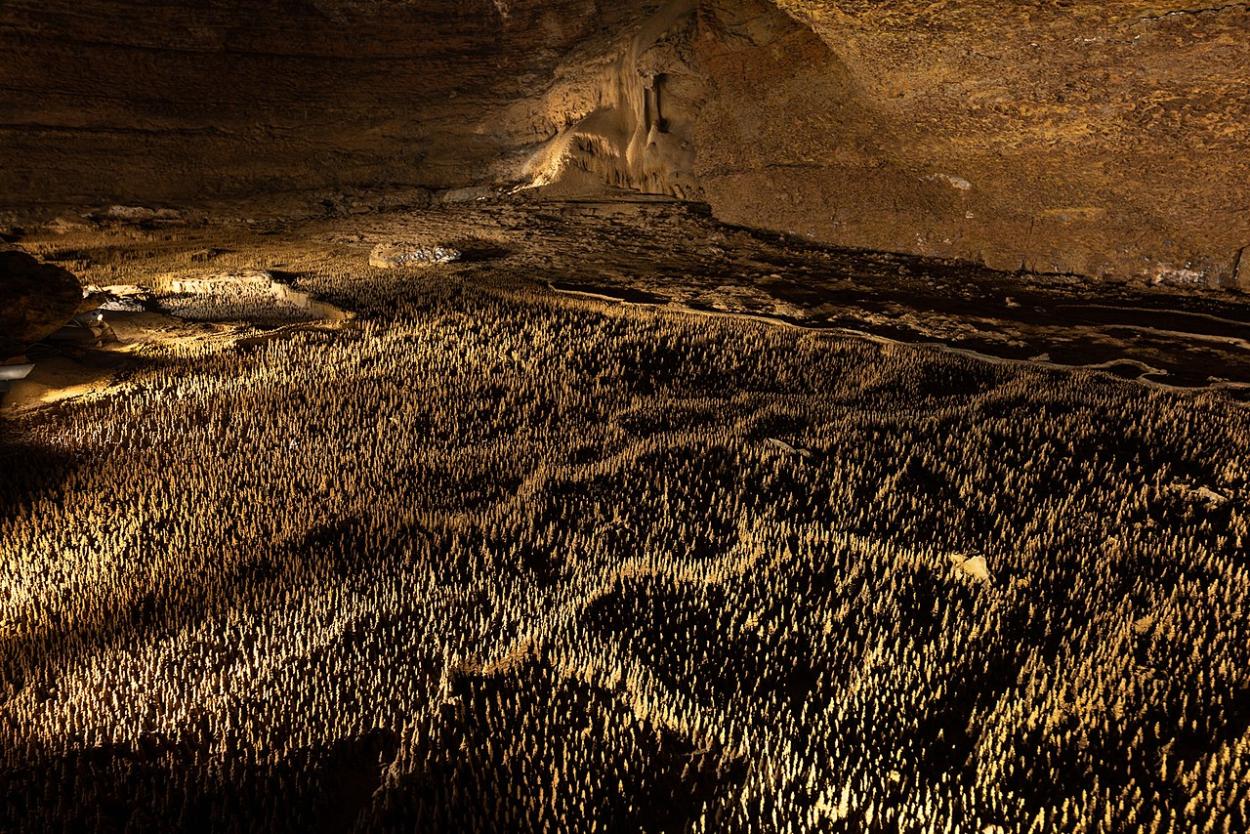 Photo des cent mille soldats, Grottes de Trabuc accessibles en TAXI ou VTC Allo!Taxi'Cab