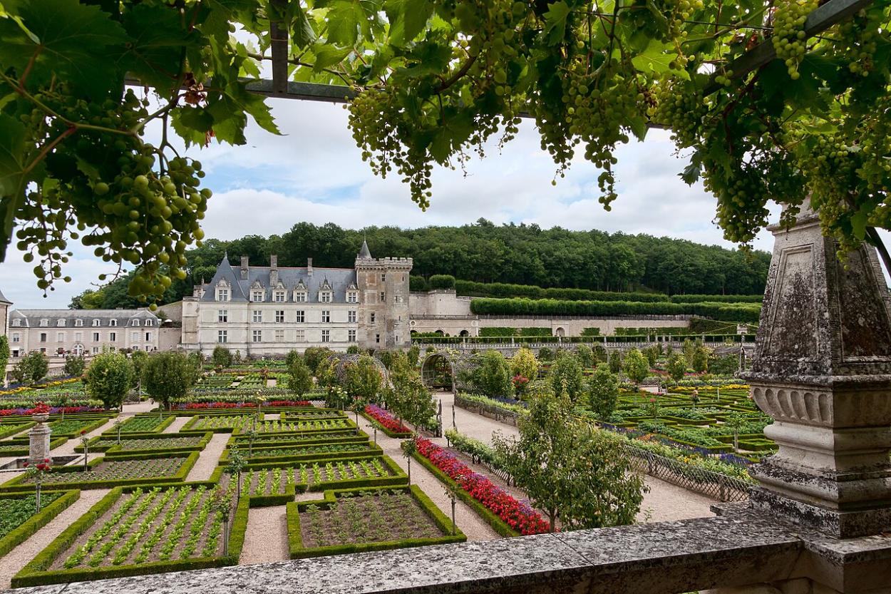Vue coté jardin du Château de Villandry accessible par TAXI ou VTC