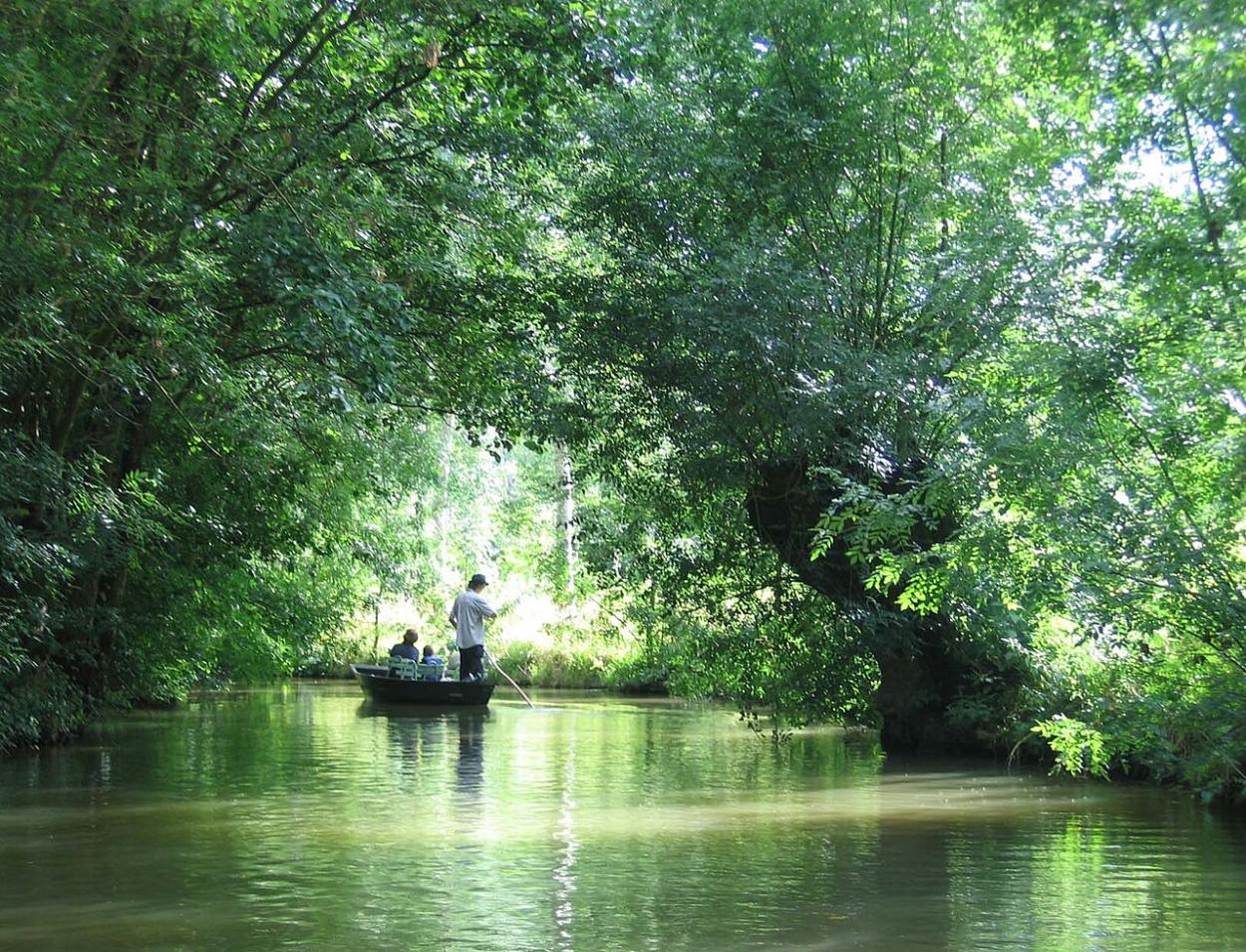 Photo d'une balade en bateau sur le Marais Poitevin, accessible en TAXI ou VTC Allo!Taxi'Cab